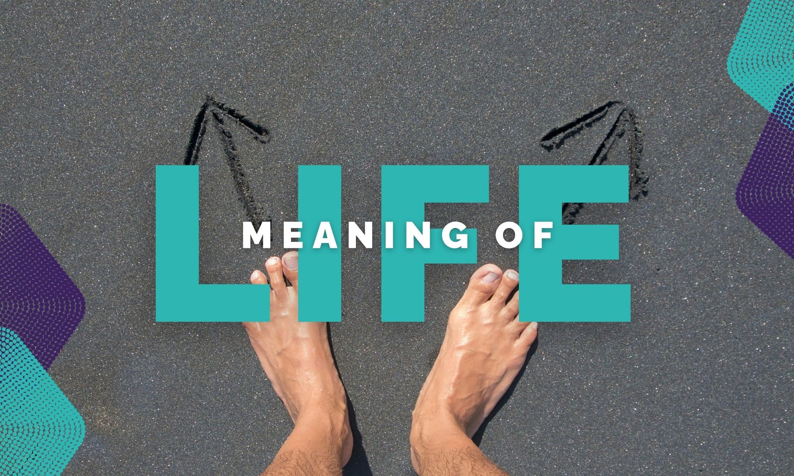 Find your purpose with practical steps