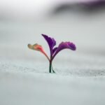 How To Grow Your Faith