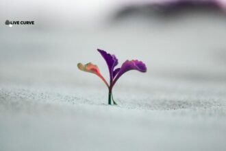 How To Grow Your Faith