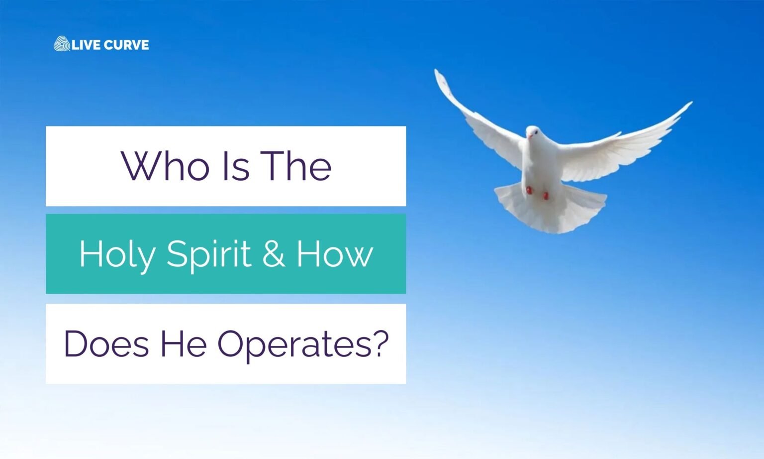 Who is the Holy Spirit? A white dove soaring in the clear blue sky, symbolizing peace and divine presence.