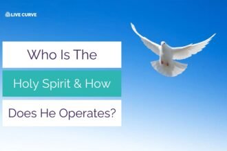 Who is the Holy Spirit? A white dove soaring in the clear blue sky, symbolizing peace and divine presence.