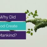 Why Did God Create Us? A symbolic image of a human hand reaching toward a hand made of green leaves, representing the connection between humanity and nature.