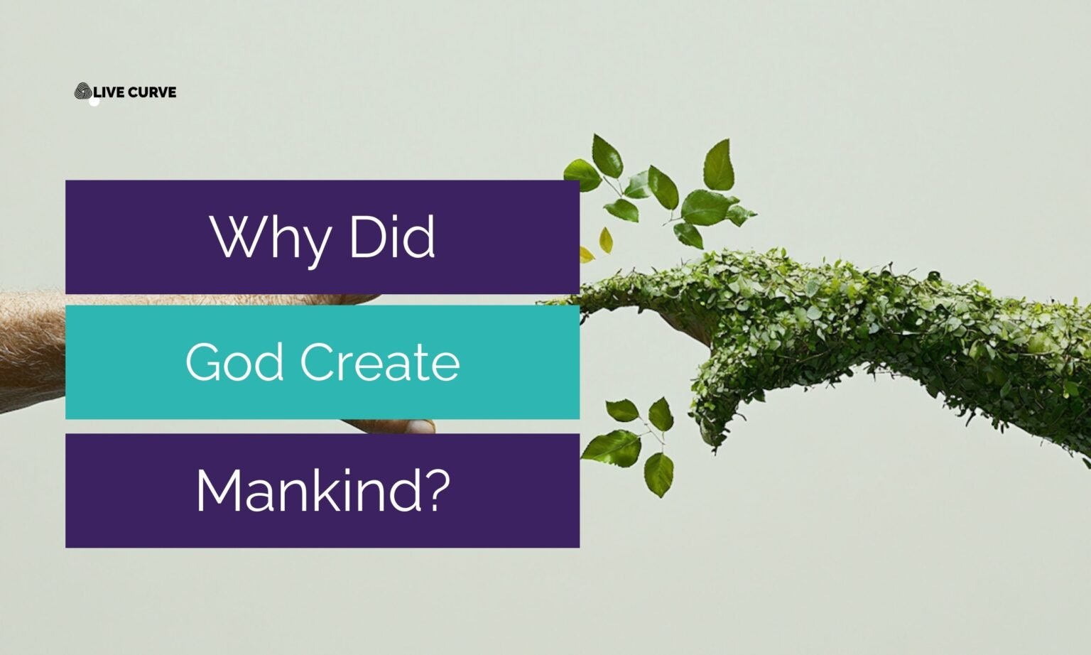 Why Did God Create Us? A symbolic image of a human hand reaching toward a hand made of green leaves, representing the connection between humanity and nature.