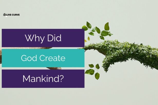 Why Did God Create Us? A symbolic image of a human hand reaching toward a hand made of green leaves, representing the connection between humanity and nature.
