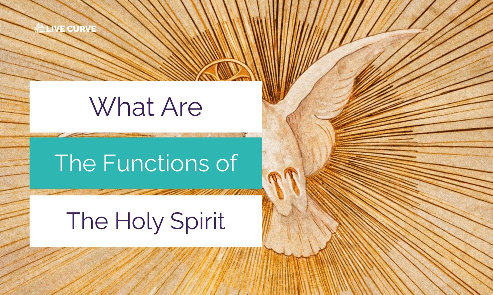 Who Is the Holy Spirit? His Identity, Role, and Relevance 2 functions of the holy spirt