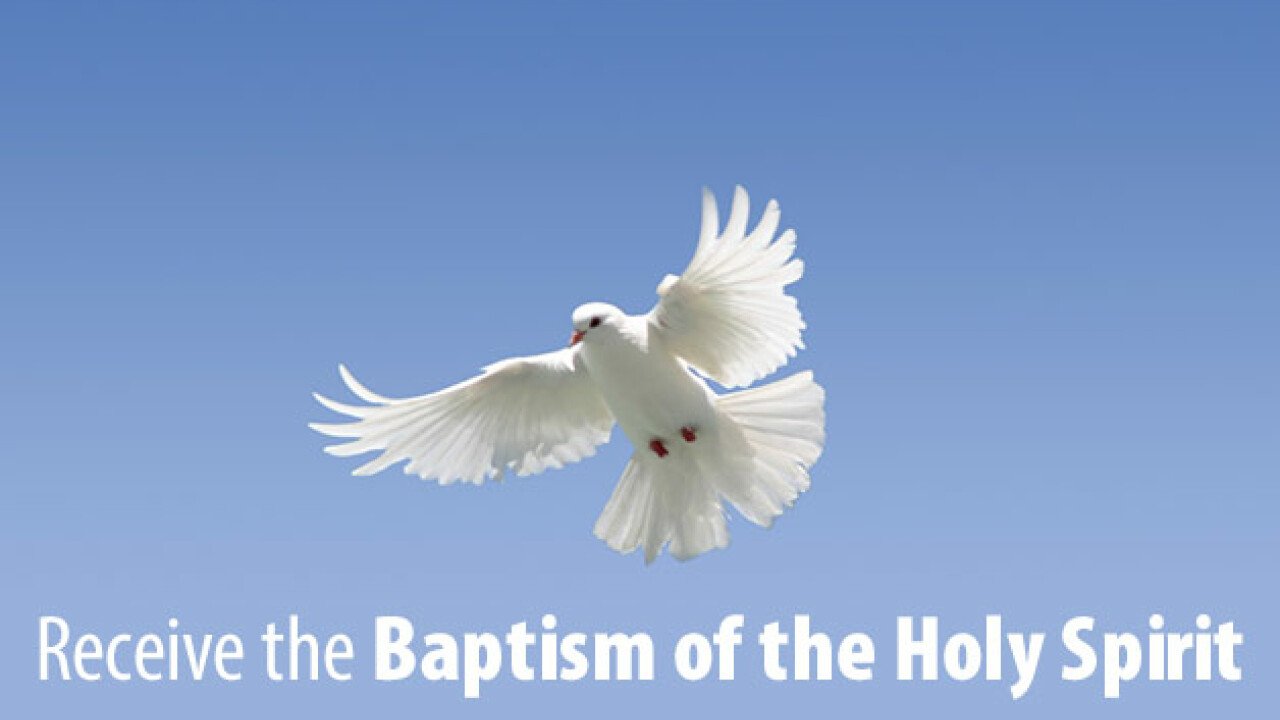 White dove in flight symbolizing the Holy Spirit with text about receiving, representing how believers receive the Baptism of the Holy Spirit.
