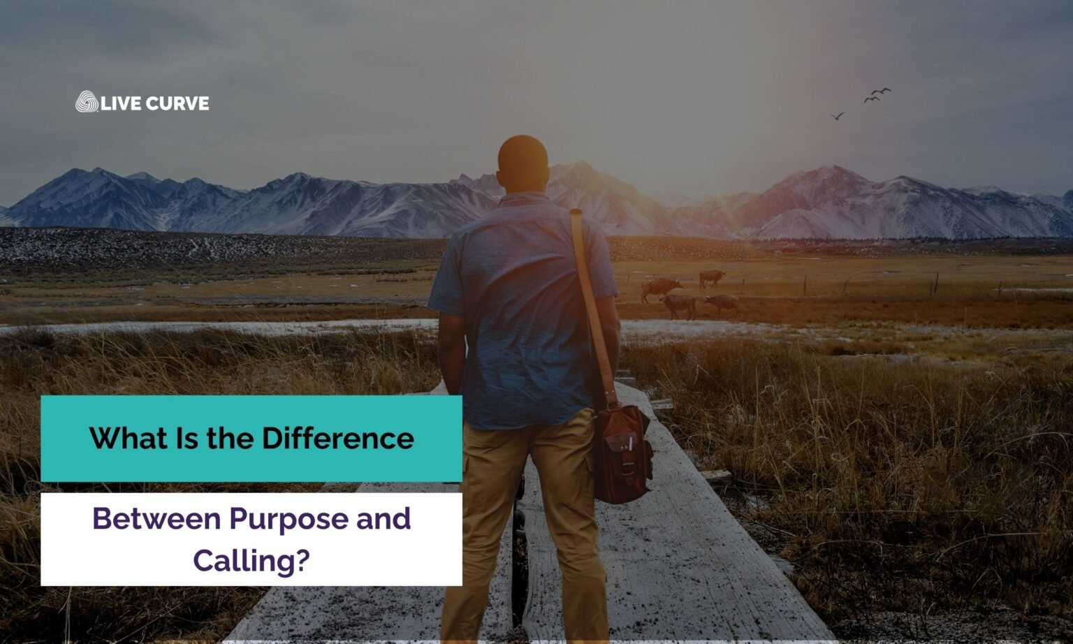What Is the Difference Between Purpose and Calling?