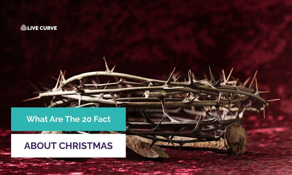 What Are The 20 Facts About Christmas