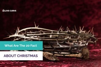 What Are The 20 Facts About Christmas