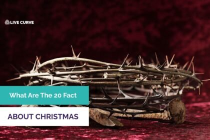 What Are The 20 Facts About Christmas