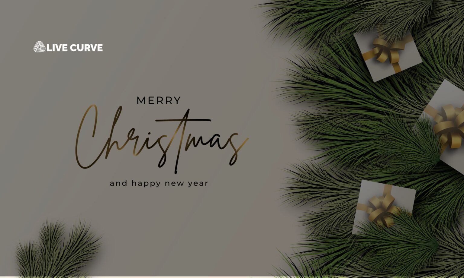 What Is The Purpose of Christmas