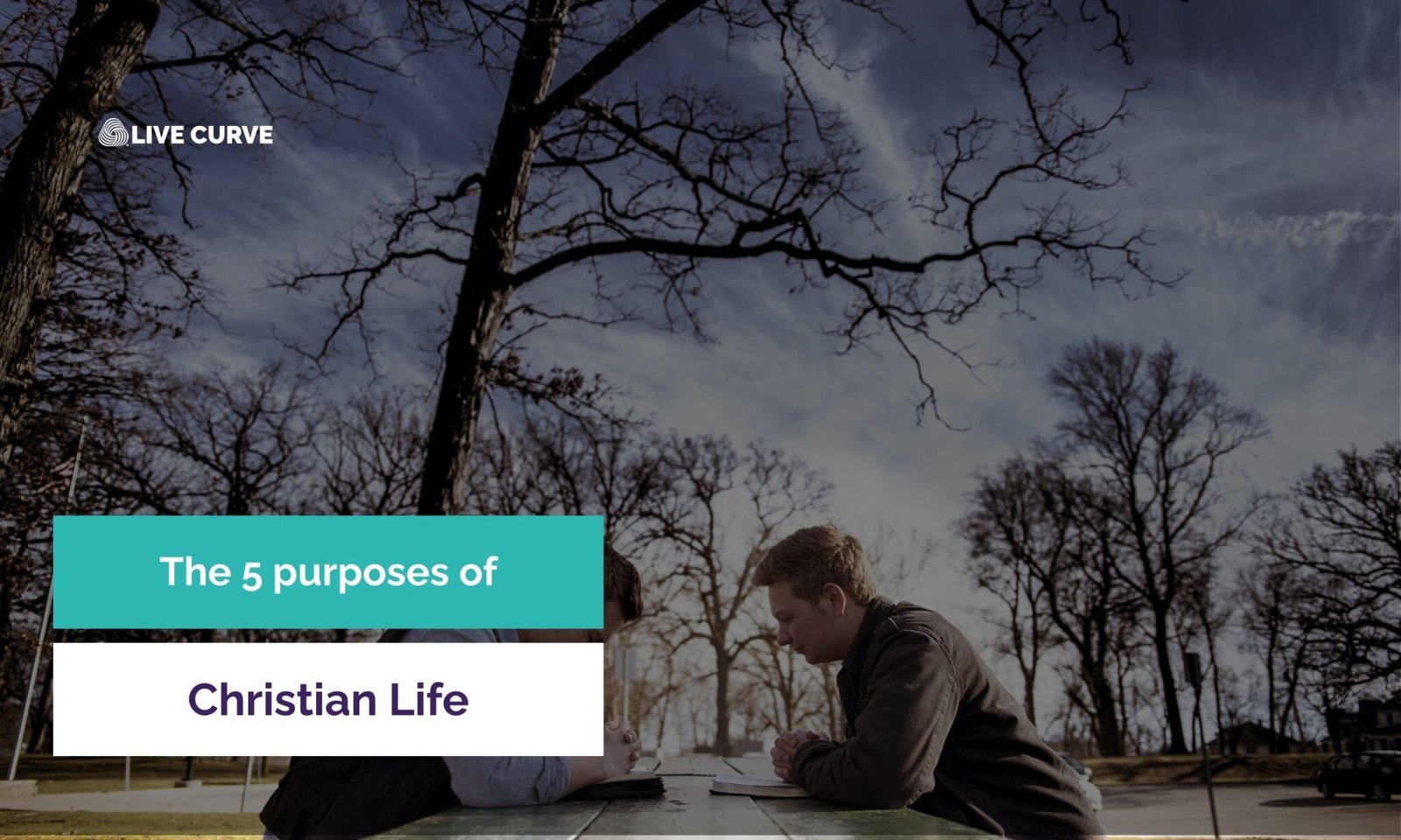 What Are The 5 Purposes of Christian Life? Biblical Guide to Your Destiny