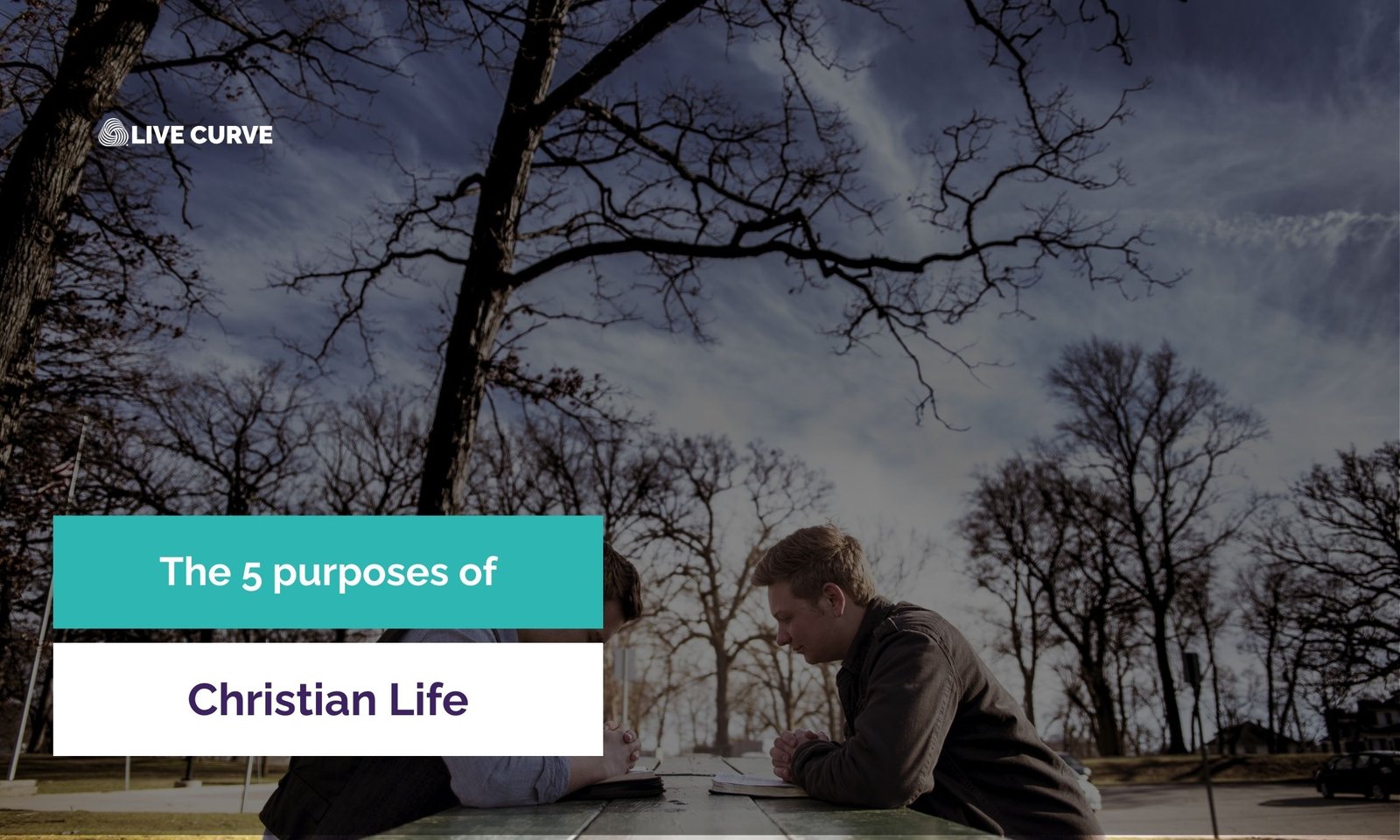 What Are The 5 Purposes of Christian Life? Biblical Guide to Your Destiny