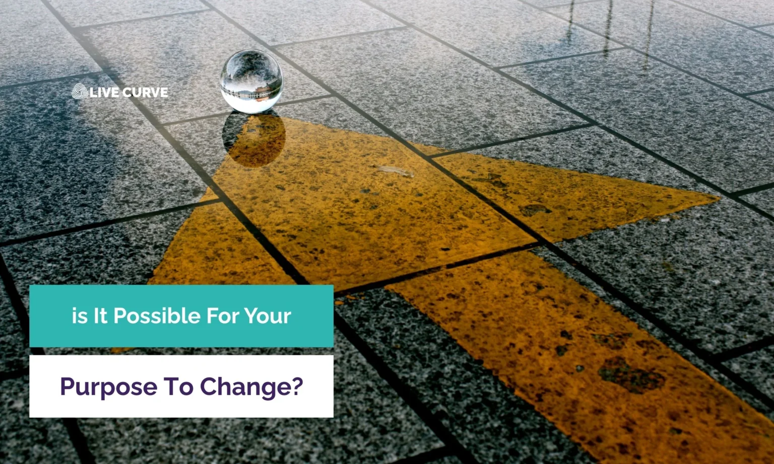 Can Your Life Purpose Change?